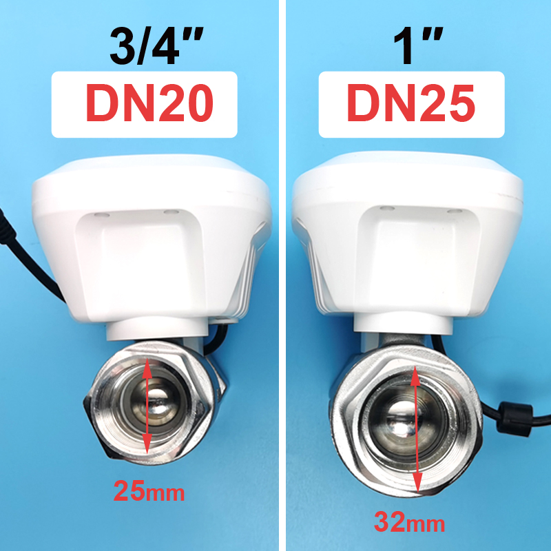 ซิกบี ทูยา สมาร์ท ไวไฟ มิเตอร์ - Tuya Zigbee Garden Irrigation Controller บทวิจารณ์และราคา