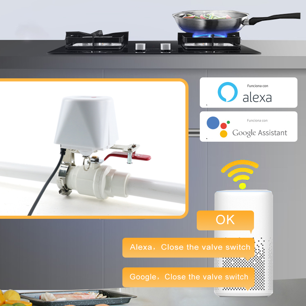 วาล์วแก๊สอัจฉริยะ Zigbee ขนาด  - Tuya Zigbee Garden Irrigation Controller บทวิจารณ์และราคา