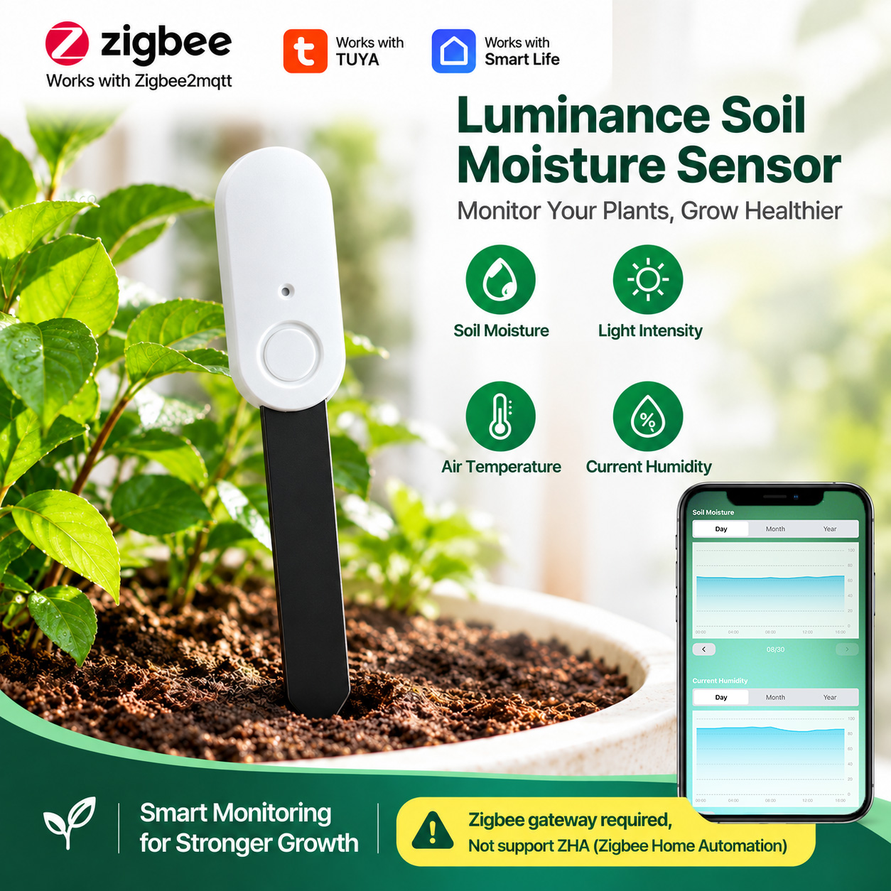 เซ็นเซอร์วัดความชื้นในดิน ZigB - Tuya Zigbee Garden Irrigation Controller บทวิจารณ์และราคา