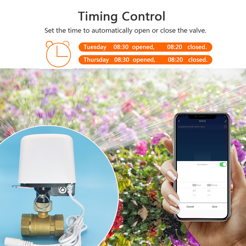 วาล์วน้ำอัจฉริยะ Tuya WiFi Zig - Tuya Zigbee Garden Irrigation Controller บทวิจารณ์และราคา