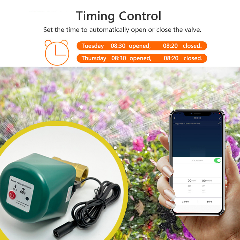วาล์วอัจฉริยะ Tuya Zigbee ขนาด - Tuya Zigbee Garden Irrigation Controller บทวิจารณ์และราคา