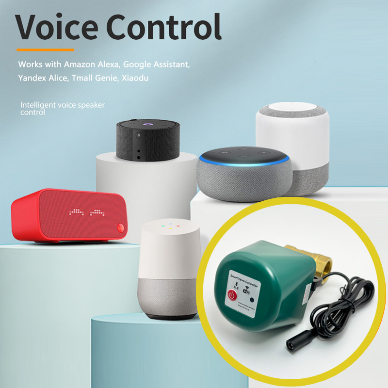 วาล์วอัจฉริยะ Tuya Zigbee ขนาด - Tuya Zigbee Garden Irrigation Controller บทวิจารณ์และราคา