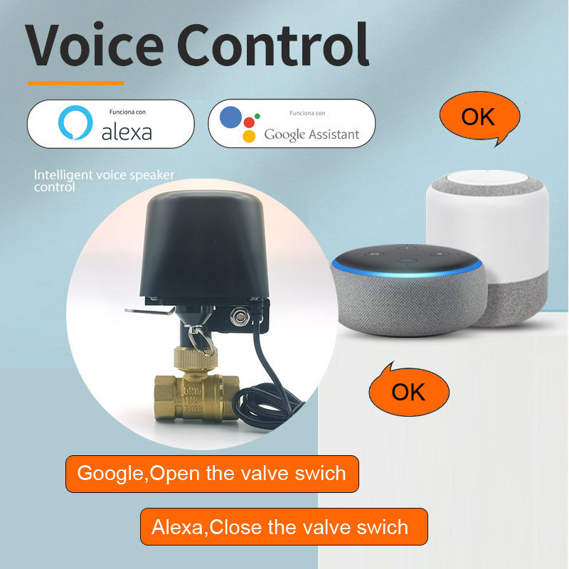 วาล์วน้ำอัจฉริยะ Tuya Zigbee พ - Tuya Zigbee Garden Irrigation Controller บทวิจารณ์และราคา