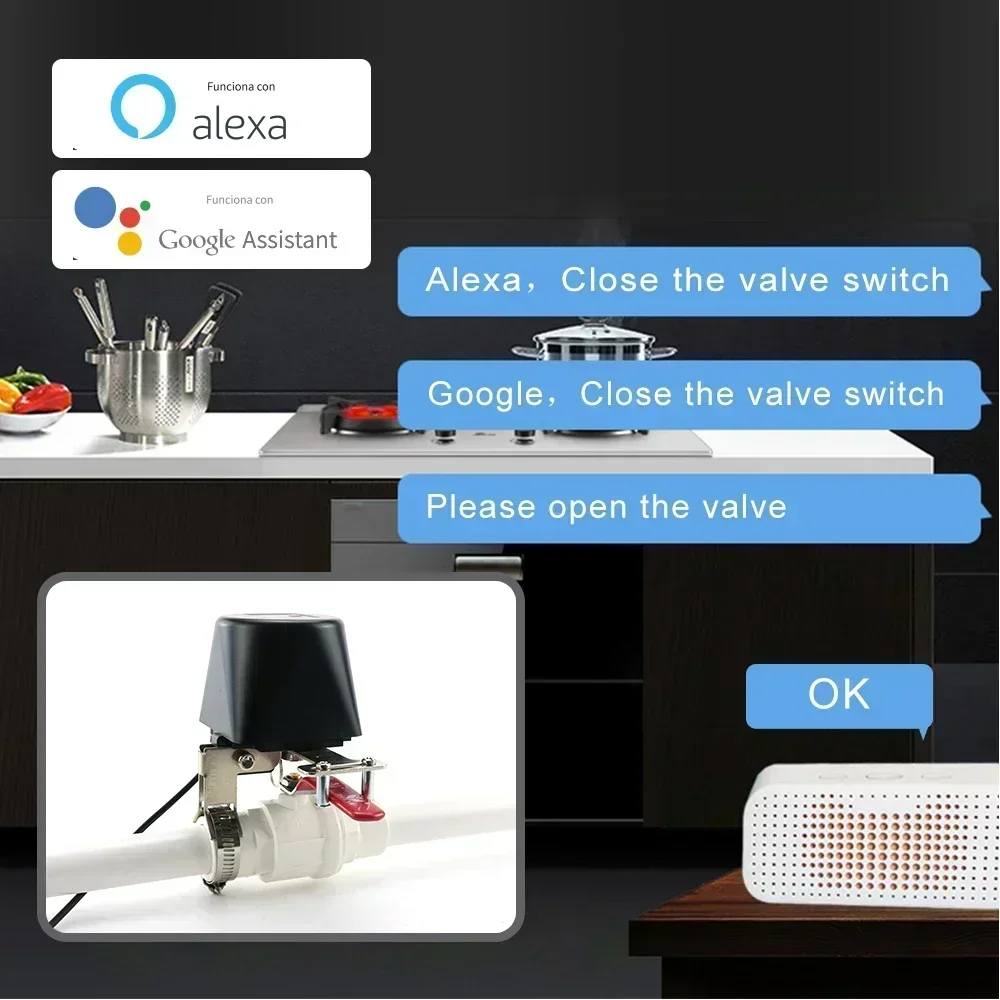 Tuya Zigbee สมาร์ทวาล์วแก๊ส WI - Tuya Zigbee Garden Irrigation Controller บทวิจารณ์และราคา